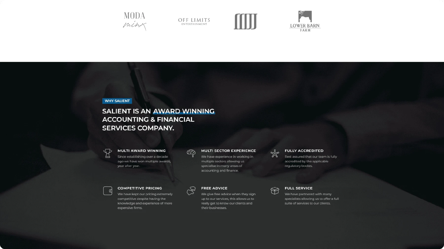 Salient portfolio image 3