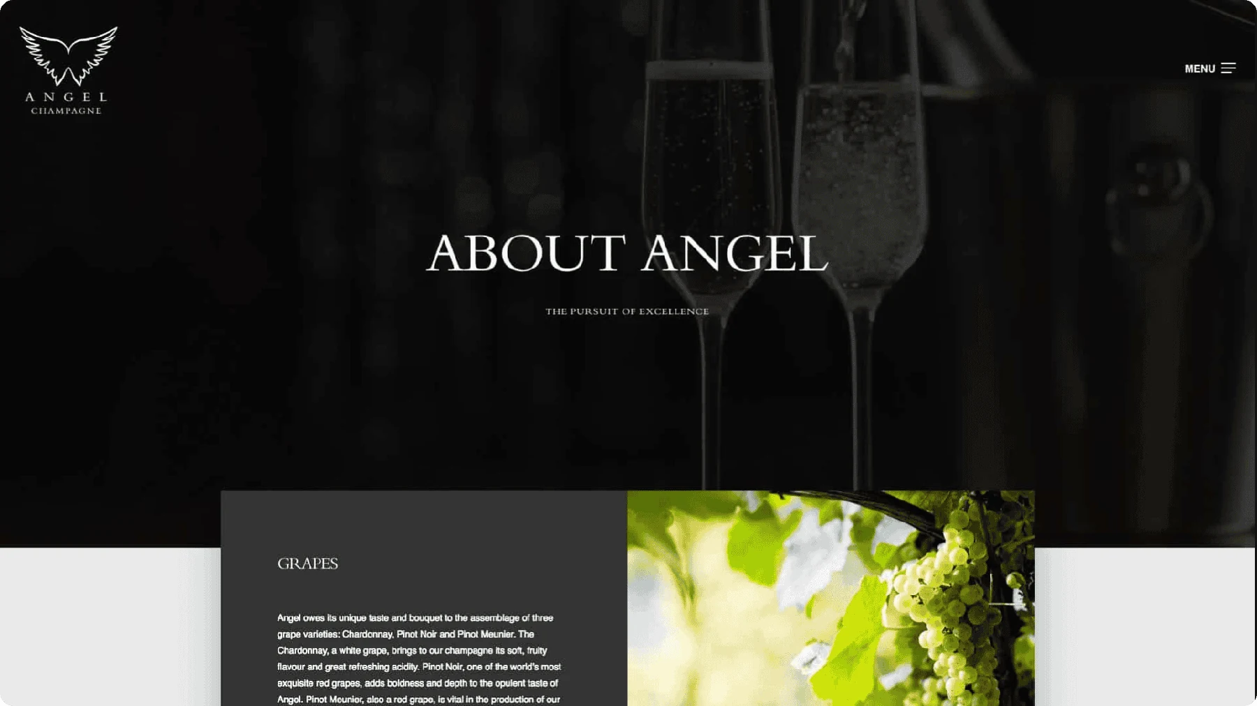 Angel Champagne portfolio image 3